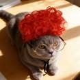 thumbnail image 1 of BotaniNest Funny Cat Cosplay Headwear Apparel Cat Dress Up For Parties Festivals For Small Medium And Large, 1 of 3