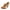 Tan White, variant on Chase & Chloe Women's Mary Jane Oxford Pumps - Cute Low Kitten Heels - Retro Round Toe Shoe with Ankle Strap