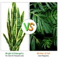 thumbnail image 6 of Gymax Artificial Snake Plant 35.5" Fake Sansevieria Indoor-Outdoor Decoration Yellow, 6 of 10