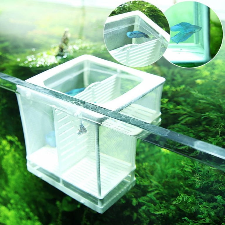 breeder net for egglaying fish Deluxe Handmade In-Tank The Net Breeder features our new frame style with removable Luxshiny 3-Pack Aquarium Isolation Breeding