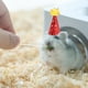 thumbnail image 4 of Sombrero De Cumpleaños 10 Piezas De Tela Con Animales Mini Sombrero De Fiesta Sombrero Colorido Y Brillante Con Cintura Ajustable Adecuado Para Animales Pequeños, Niños, Ositos De Peluche Y Muñecas, 4 of 8