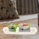 thumbnail image 4 of IFANLANDOR 3Ud Trays Para Macetas De Plástico Resistentes Y Duraderos Para Jardinería, 4 of 8