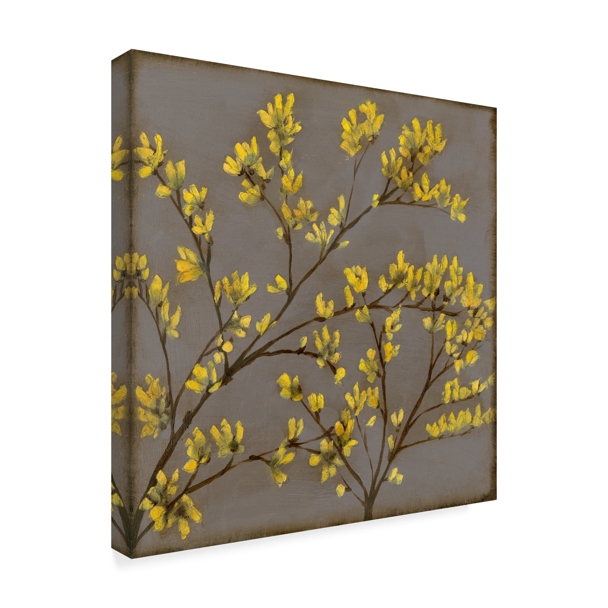 Trademark Fine Art 'Forsythia I' Canvas Art by Jennifer Goldberger