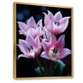 thumbnail image 2 of Designart "Pink Flowers captivate Tulips On Black" Floral Floater Framed Canvas Art Print, 2 of 7