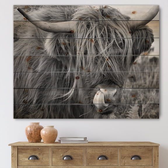 Designart 'Close Up Of Scottish Cow On Moorland II' Farmhouse Print on Natural Pine Wood