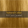 thumbnail image 3 of Hair Solution Gold 90 grams / 3.17 oz Hair Dye Soft Caramel 8.37 Color - Hair Dye Permanent + Peroxide Cream Vol 30 + Hair Care Gloves, 3 of 8