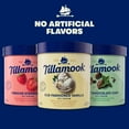Tillamook Original Premium Mint Chocolate Chip Ice Cream, 48 fl oz