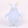 thumbnail image 5 of CHOYURME CHONYURM Plush Bunny Stuffed Animal Toy Super Soft Easter Rabbit Plush Toy for Girls and Boys Easter Birthday Gift, 5 of 6