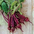 thumbnail image 4 of Burpee Organic Medium Top Detroit Dark Red Beet Vegetable Seed, Annual Lifecycle, Full Sun, 4 of 6