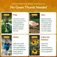 thumbnail image 3 of Black-Eyed Susan Wildflower Seeds, 55,000 Non-GMO Yellow Daisy Seeds - Created By Nature, 3 of 6