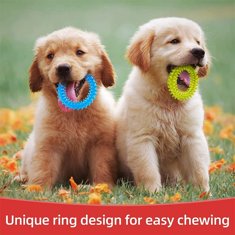 2PCS Puppy Dog Toys Chew Toys Interactive Treat Dispensing Puzzle Toy for Small  Dogs Tough Rubber Teething Dog Bones for Puppies