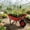 Red, variant on Elleree Garden Wheelbarrow with 15" Dual-Wheel,Lightweight Wheel Barrow Yard Garden Dump Cart for Lawn Landscaping
