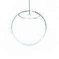 thumbnail image 1 of Athenas Garden HCH1107 Terrarium et Vase Suspendus Mur Clair Demi-Rond de 7 Po, 1 of 1