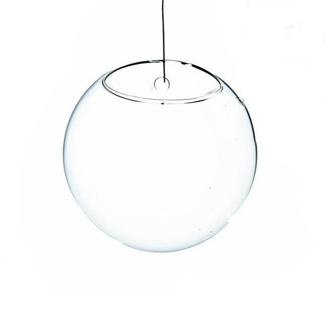 Athenas Garden HCH1107 Terrarium et Vase Suspendus Mur Clair Demi-Rond de 7 Po