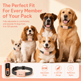 thumbnail image 6 of Shock & Vibration Dog Training Collar with Remote, 3300ft Range, Waterproof Rechargeable Electric Collar, 6 of 11