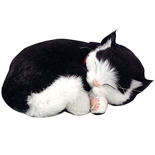 Animal de compagnie animé chat noir et blanc