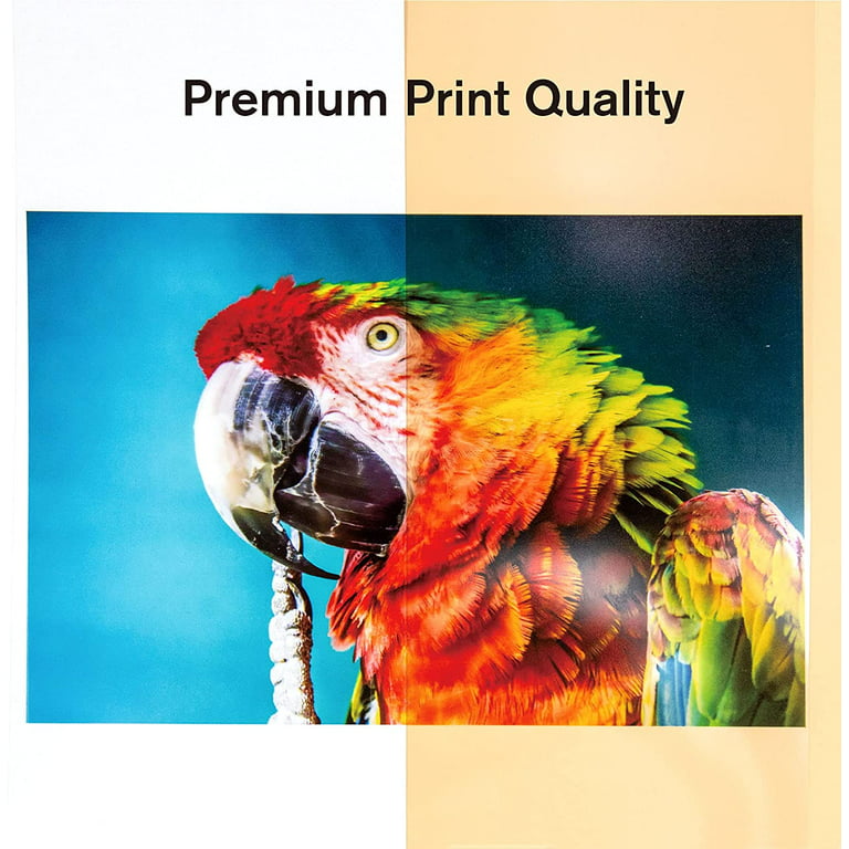 150 Sheets 8.5 x 11 in Inkjet Transparency Film Paper Transparency Film for  Inkjet Printer Clear Paper Transparencies Printing Transparent Film Sheets  for Overhead Projector Silk Screen Printing Craft : : Office  Products