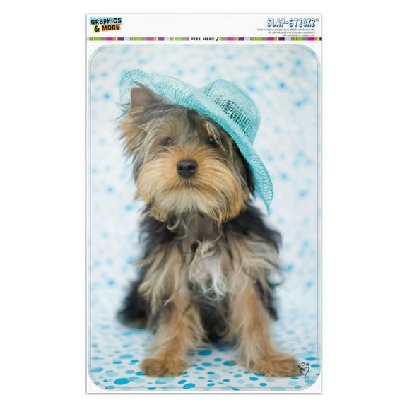 Yorkie Yorkshire Terrier Dog Blue Hat Home Business Office Sign