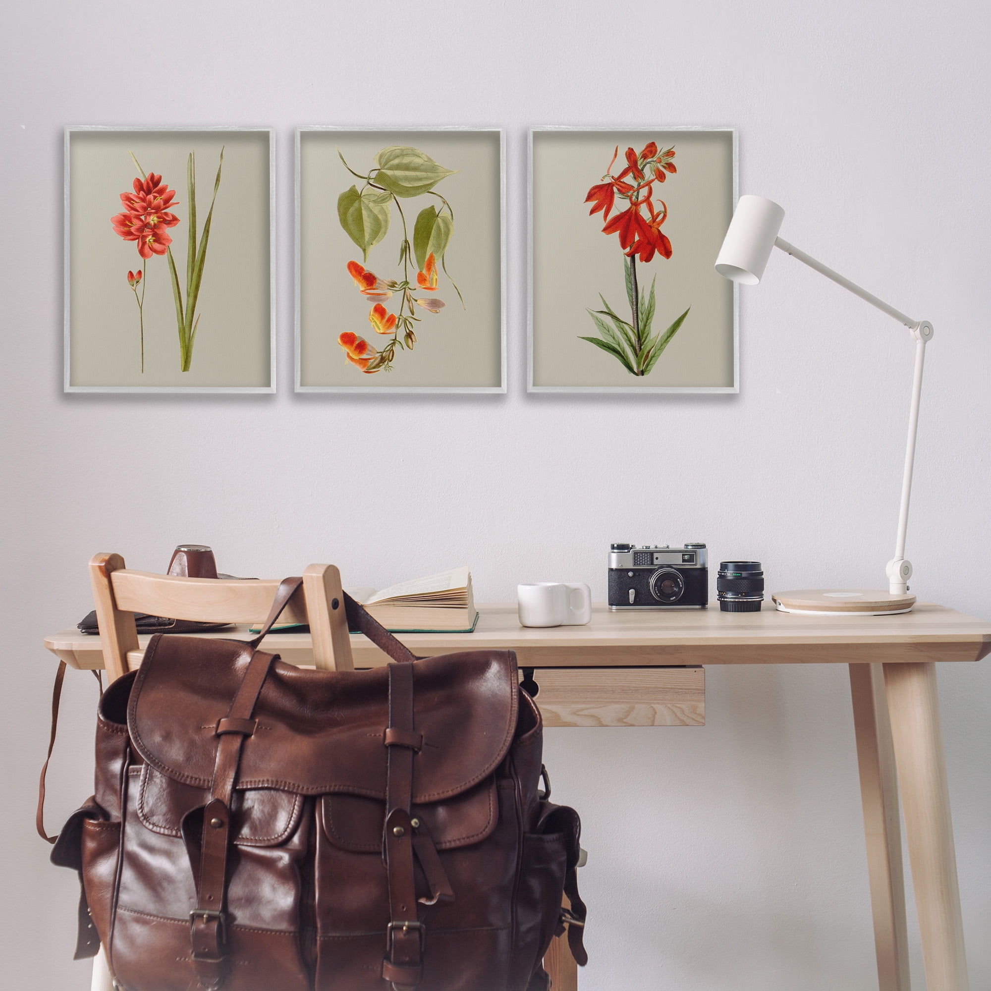 Stupell Industries Woodland Flower Study Botanical & Floral Painting Gray Framed Art Print Wall Art, 16 x 20, Set of 3