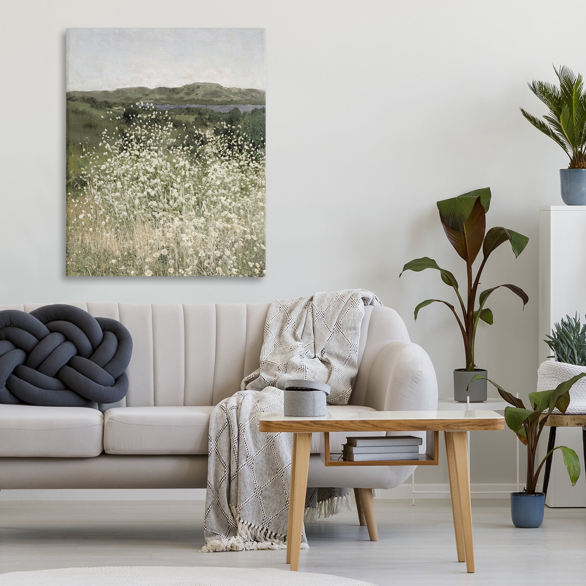 Stupell Industries Sunlit Meadow of White Daisies Canvas Wall Art, design by Amber Sterling