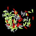 thumbnail image 4 of 100 Piezas de Tornillos de Cebo, Clavijas Emergentes, Aparejos Terminales, Aparejos de Pesca de Carpa Color mezclado Baoblaze Cebo emergente, 4 of 8