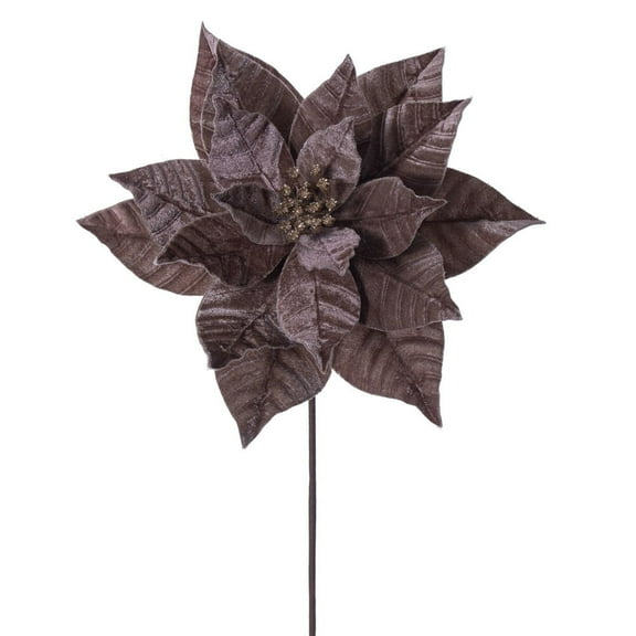 21.5" Mocha Poinsettia 12" Flower 6/Bag