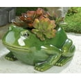 thumbnail image 2 of Ceramic Frog Planter, 2 of 2