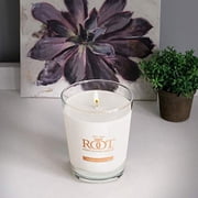ROOT Candles Scented All Natural Beeswax Blend 10.5 oz Lg. Veriglass Filled Container, Japanese Cedarwood, 1 ea.