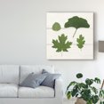 thumbnail image 3 of Trademark Fine Art 'Leaf Chart V Shiplap' Canvas Art by Wild Apple Portfolio, 3 of 4