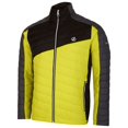 thumbnail image 3 of Dare 2B Mens Descending Padded Jacket, 3 of 5