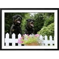 thumbnail image 2 of Rottweilers Looking over Fence, Animals Botanical Framed Art Print Wall Art Sold by Art.Com, 2 of 6