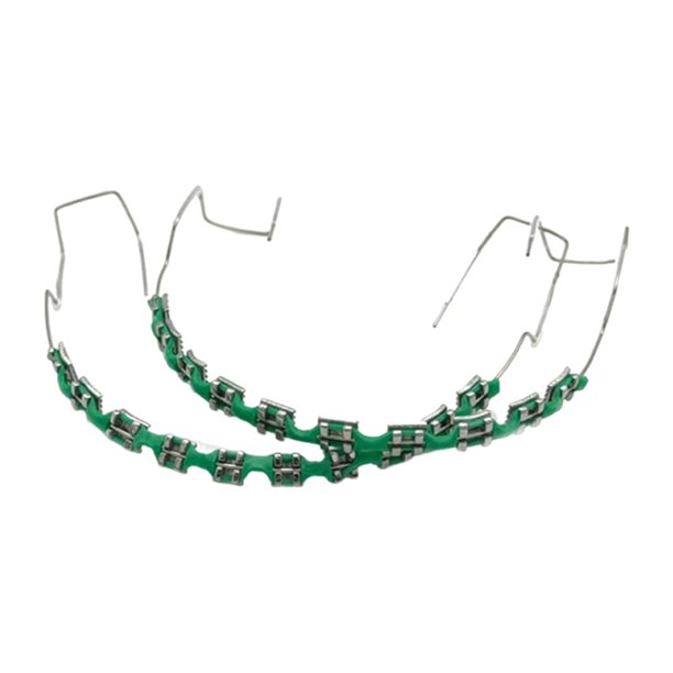 Soporte Metal Dental Dientes Temporal para () Verde