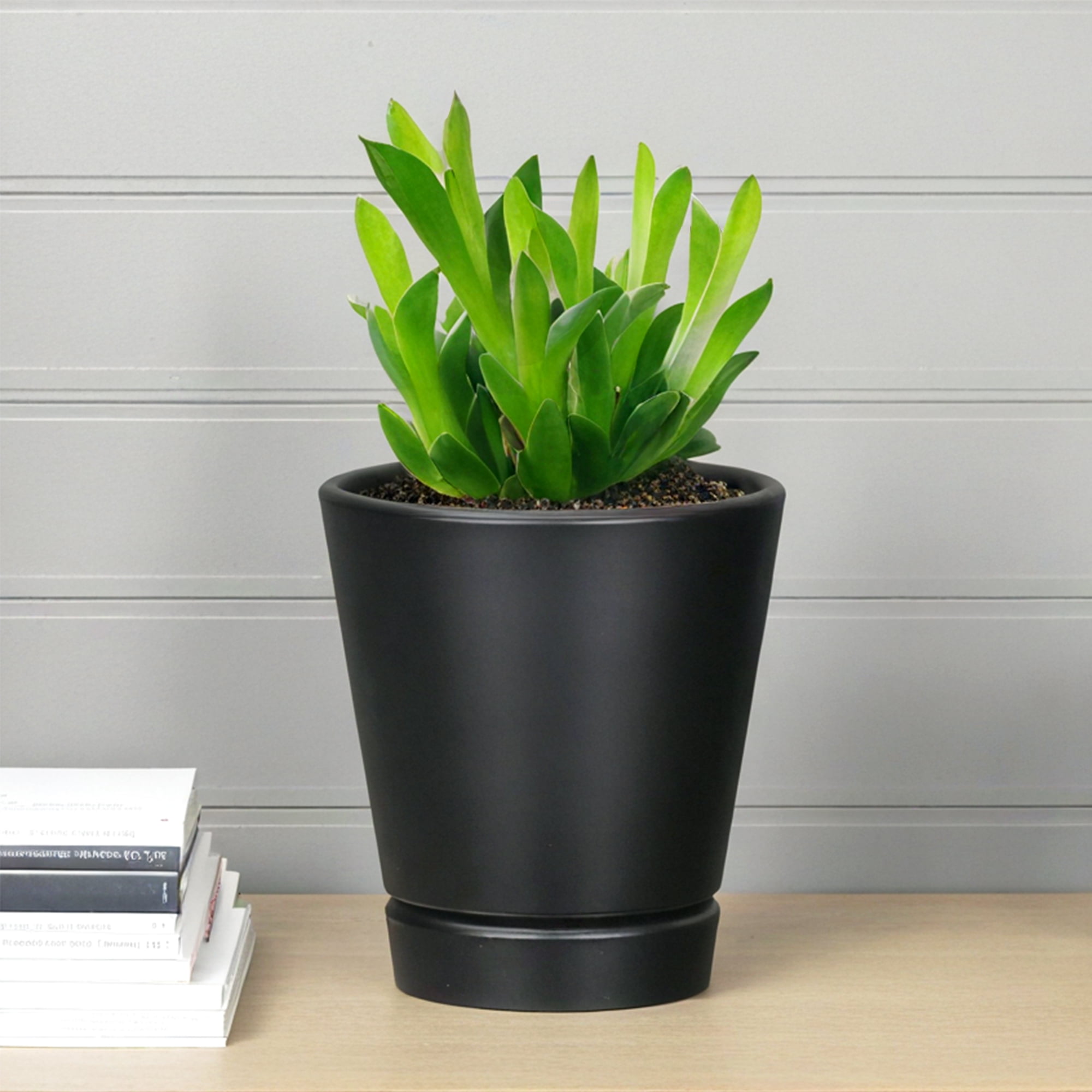 Mainstays Recycled Resin Planter with Attached Saucer, Black, 4in x 4in x 4.5in