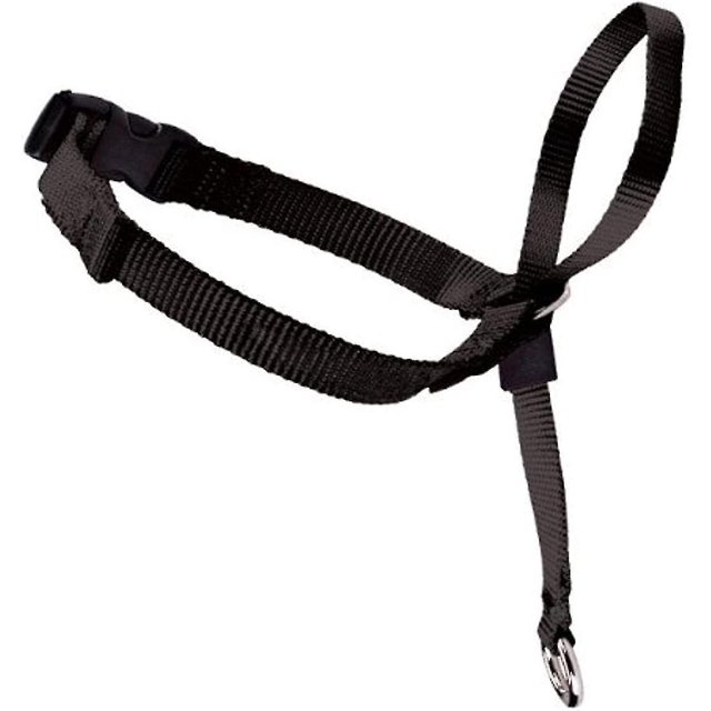 Pet Walking Dog Explosion-proof Punching Control Dog Collar Training Habit Anti-barking Mouth Biting Cover Mask Mouth Cage