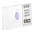 thumbnail image 2 of Bacillus Subtilis, Gram Positive - Prepared Microscope Slide - 75 x 25mm - Biology & Microscopy - Eisco Labs, 2 of 2