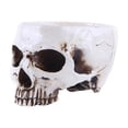 thumbnail image 1 of Maceta De Resina Para Decoración Del Hogar, Perfecta Para Accesorios De Cine, Halloween Y Escenas De Jardines Campestres, 1 of 6