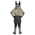 thumbnail image 3 of Anubis Costume for Boys, 3 of 3