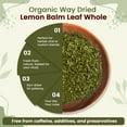 thumbnail image 6 of Organic Way Lemon Balm Leaf Whole (Melissa Officinalis) - Herbal Tea | Organic & Kosher Certified | Vegan | Raw, Non GMO & Gluten Free | USDA Certified | Origin - Albania (1/2 lbs / 8 oz), 6 of 8
