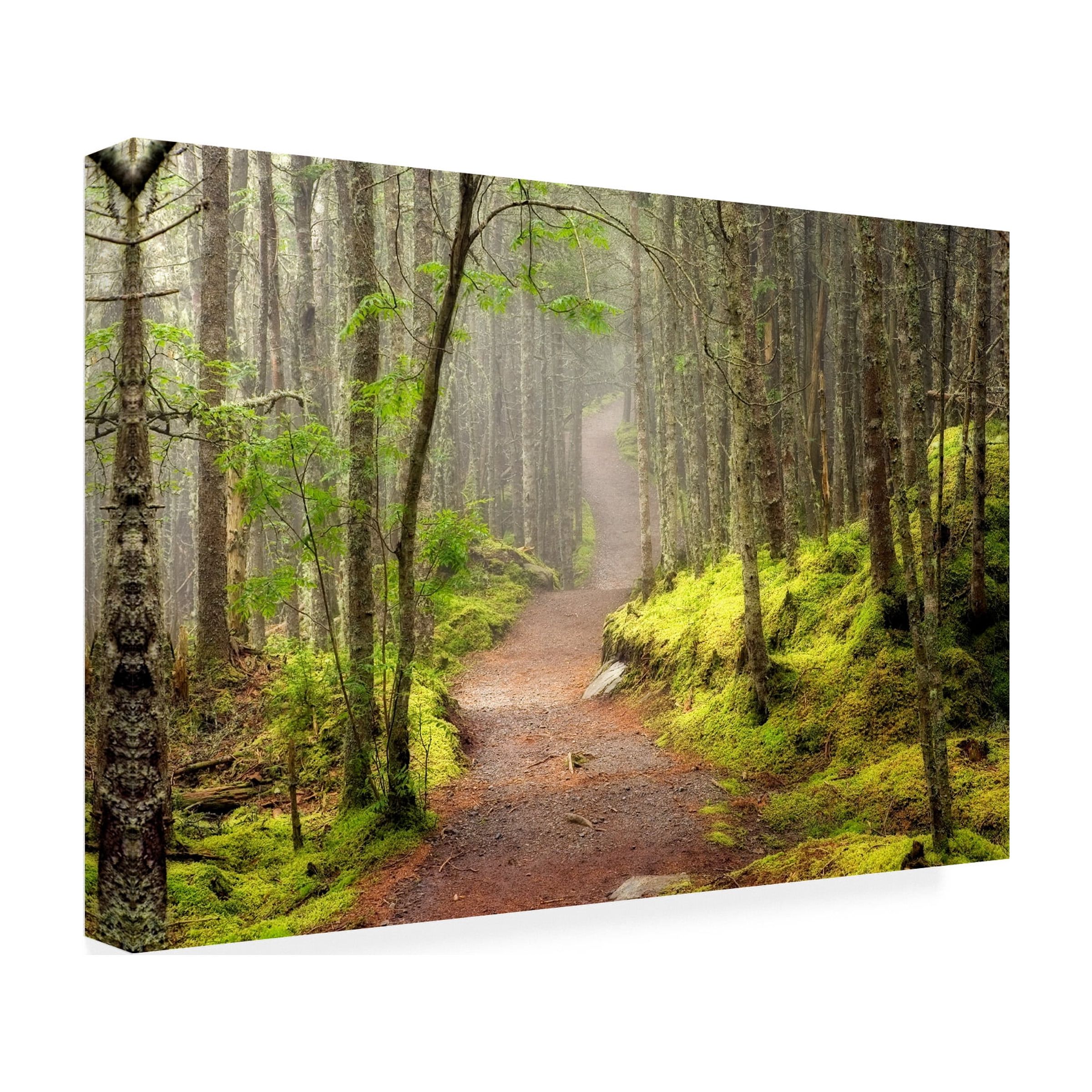 Trademark Fine Art 'Lubec Path' Canvas Art by Mike Jones Photo