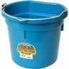 Miller Mfg Co. Little Giant Animal Feed Flat Back Plastic Bucket, Teal 20 qt