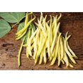 thumbnail image 4 of HIGHGW 100+ Ultimate Bush Bean Seed Collection #1-5 Varieties-Mix Seeds- Heirloom, 4 of 6