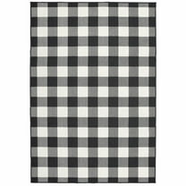 2â€™x4â€™ Black and Ivory Gingham Indoor Outdoor Area Rug