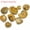 #7 Nigeria Ammonites (6-8cm), variant on HOOUN 1x Mini Natural Teaching Specimen Teeth Brachiopod Spines Ammonites Plant-#19 Sea Urchins (3-4cm)-1PC (Random Pick)