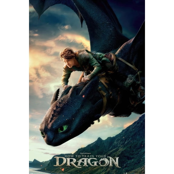How To Train Your Dragon - Movie Poster (Toothless & Hiccup) (Size: 24" x 36")