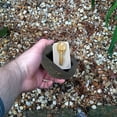 thumbnail image 4 of Resin Fake Rock Key Hider Spare Key Storage Outdoor Garden, 4 of 6