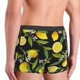 thumbnail image 5 of Bingfone Lemon Fruits Flowers Leaves Men'S Underwear - Casual Stretch Boxer Briefs-Medium, 5 of 9