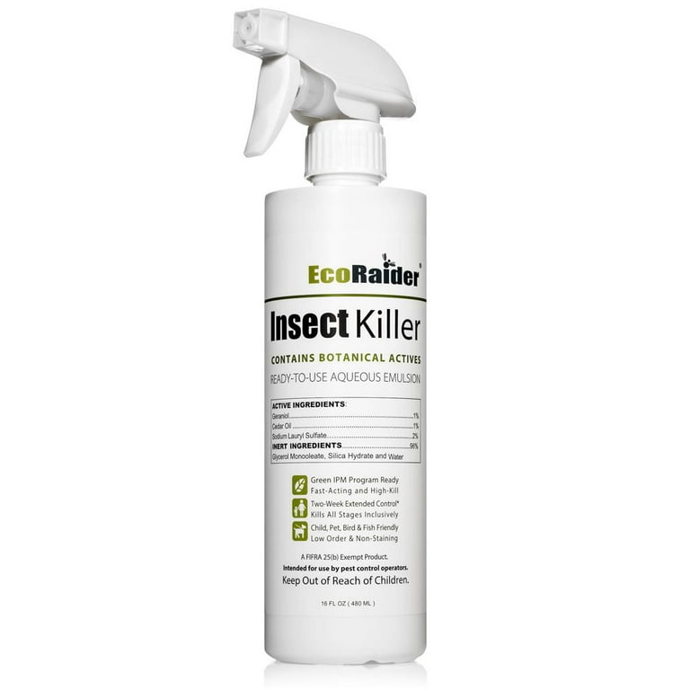 pantry moth killer kit - natural moth killer kit by moth prevention - 1  room treatment - includes 10 pantry moth traps and highly effective  residual