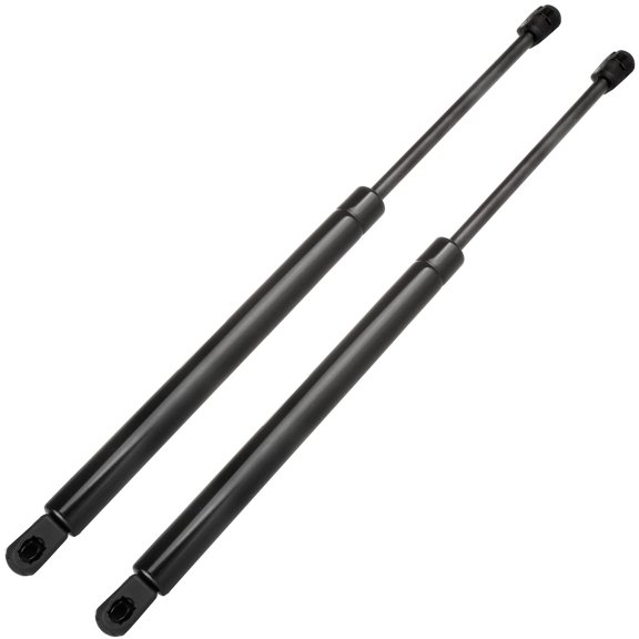 ECCPP 2pcs Hood and 2pcs Glass Window Lift Supports Struts for Pontiac Aztek 2001-2005