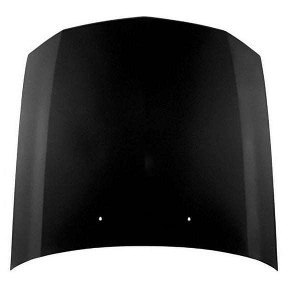 Hood Panel for Ford Mustang 2005-2009