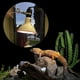 thumbnail image 5 of Reptile Lámpara De Calentamiento Infrarrojo UVA Lámpara De UVB Titular Con Interruptor De Encendido / Apagado, De Terrario Vivarium, 110-120 Sunnimix Reptile Lamp Holder, 5 of 8